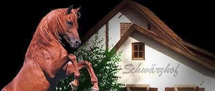 Landhotel Schwaerzhof Kulmbach Eksteriør bilde